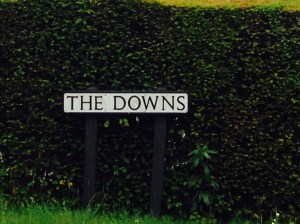The Downs
