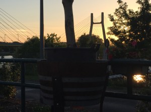 view from bar over saone